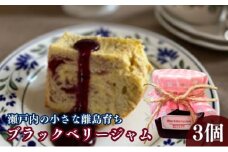 ブラックベリー ジャム 3個 セット 瀬戸内海 フルーツ 果物 ベリー 手作り 紅茶 お茶 茶 朝食 軽食 おやつ モーニング パン トースト デザート ケーキ アイス ヨーグルト 無添加 常温 加工食品 常温配送 香川県 香川 丸亀 丸亀市