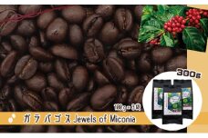 50度お湯洗い焙煎豆　ガラパゴス Jewels of Miconia