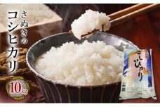 米 10kg さぬきのコシヒカリ  お米 精米 おいしい 国産 香川 白米 ※令和6年産