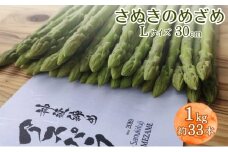 アスパラガス シャキシャキ！ピンピン！『神経締めアスパラ』 さぬきのめざめ 30cm Lサイズ 1kg（約33本）/ アスパラ 野菜 新鮮
