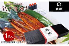 鰻 国産 うなぎの蒲焼き 1尾入（特製タレ付） / 鰻城 うなぎ ウナギ 蒲焼 簡単調理 時短 電子レンジ