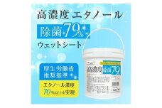 【高濃度エタノール除菌79％ウェット300】【本体1個(300枚入)】バケツタイプ 大容量 除菌 ウェットティッシュ ウェットシート 人気日用品 日用品 生活用品 掃除 掃除用品 アウトドア レジャー キャンプ まとめ買い 消耗品