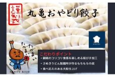 丸亀おやどり餃子　３パックセット【1月中旬より発送開始】