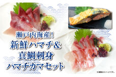 【新鮮！瀬戸内海産ハマチ＆真鯛刺身＋ハマチカマ塩焼き用セット】贅沢3種×計9パック　新鮮 刺身 食べ比べ 魚 一本釣り 海産物 海の幸 魚介 魚介類 真鯛 ハマチ 惣菜 おかず 朝ごはん 朝食 冷凍 冷凍配送 香川県 香川 丸亀