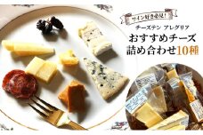 【ワイン好き必見！】チーズテン アレグリア おすすめチーズ詰め合わせ10種 冷蔵 チーズ専門店 食べ頃チーズ セット ( 食べ比べ チーズ専門店 ブルーチーズ 白カビチーズ 白ワインに合う おつまみ 美味しいチーズ 冷蔵チーズ 乳製品 加工品 人気 贈り物 プレゼント ギフト 香川県 丸亀市 )