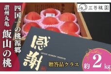 贈答用 飯山の桃 2kg 桃 モモ 果物 フルーツ ピーチ ゼリー アイス ジェラート ケーキ ジュース ジャム タルト デザート スイーツ おやつ 人気 おすすめ お取り寄せ グルメ ギフト プレゼント 贈答 送料無料 香川県 丸亀市 三谷桃園