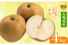 【2025年8月上旬より順次発送】【秀品】梨  約4kg 丸亀産 ナシ 果物 フルーツ 果肉 果汁 季節 甘い デザート ゼリー ジュース ふるさと納税フルーツ 香川県 丸亀市