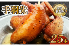 手羽先セット 5本 × 5袋 鶏肉 手羽 ローストチキン 焼き鳥 鶏肉 骨付き肉 ふじむら ジューシー 旨味 真空パック 湯せん 簡単調理 肉 ご当地グルメ B級グルメ おつまみ ビール 伝統 キャンプ アウトドア 惣菜 おかず ふるさと納税手羽先 ふるさと納税肉 香川県 丸亀市