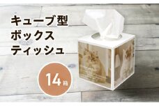 キューブ ティッシュ 14箱 80W 場所をとらない キューブ型 ティッシュペーパー 日用品 消耗品 生活用品 ボックスティシュ ティシュペーパー ティシュ ノベルティ日用品  消耗品 生活用品 常備品 衛生用品 生活応援 消耗品 まとめ買い 防災 備蓄 必需品 生活雑貨 おしゃれ かわいい 