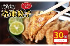 冷凍餃子 選べる単品 にんにくなし 30個×1p 餃子 セット ぎょうざ ギョウザ にんにく 不使用 肉 お肉 豚肉 豚 鶏肉 鳥 おつまみ 加工品 肉汁 惣菜 お弁当 冷凍ストック 寺岡商店 香川県 丸亀市