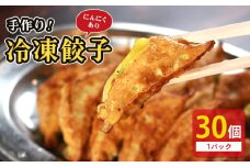 冷凍餃子 選べる容量 にんにくあり 30個×1p 餃子 セット ぎょうざ ギョウザ にんにく 青森 肉 お肉 豚肉 豚 鶏肉 鳥 おつまみ 加工品 肉汁 惣菜 お弁当 冷凍ストック 寺岡商店 香川県 丸亀市