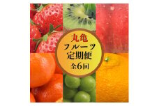 【果物を贅沢に味わう】 丸亀のフルーツ定期便 全6回 キウイ いちご 不知火 桃 シャインマスカット みかん さぬきひめ さぬき紅みかん 香緑 香川県 丸亀市