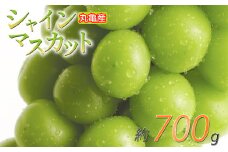 パリッと甘い！ シャインマスカット 約700g 1房 冷蔵 マスカット ぶどう 葡萄 ブドウ フルーツ 果物 くだもの デザート 果実 美味しい 人気果物 人気フルーツ 旬のフルーツ 旬の果物 瀬戸内 果汁 フルーツ  デザート 果実 青果 甘い 季節 国産 ふるさと納税マスカット ふるさと納税ぶどう 香川県 丸亀市