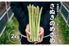 グリーンアスパラガス さぬきのめざめ 2kg 朝採れ 鮮度バツグン 有機肥料 早朝収穫 人気 シャキシャキ 食感 新鮮 瑞々しい 甘い 歯ごたえ ロングサイズ  アスパラガス 農場 収穫 特別品質 高品質 希少品質 美しい フレッシュ 品種改良 減農薬 野菜 旬 丸亀市 藤井農園