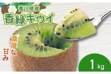 濃厚な甘み！ 香緑キウイ 約1kg 香川県産 香緑 キウイ キウイフルーツ 果物 ふるさと納税キウイ 香川県 丸亀市