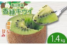 濃厚な甘み！ 香緑キウイ 約1.4kg 香川県産 香緑 キウイ キウイフルーツ 果物 ふるさと納税キウイ 香川県 丸亀市
