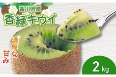 濃厚な甘み！ 香緑キウイ 約2kg 香川県産 香緑 キウイ キウイフルーツ 果物 ふるさと納税キウイ 香川県 丸亀市