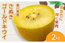 さぬきゴールドキウイ 選べる 約2kg 先行予約 キウイ 果物 フルーツ ゴールド 香川県 丸亀市