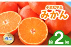 先行予約 みかん 蜜柑 約2kg 小原紅早生 小原紅早生みかん 柑橘 オレンジ 果物 フルーツ 果実 旬 家庭用 11月下旬～12月下旬 配送 選べる 容量 香川県 丸亀市