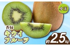 先行予約 キウイ 約2.5kg キウイフルーツ グリーンキウイ 小玉 香緑キウイ 果物 果実 フルーツ 旬 デザート 選べる 容量 11月下旬～1月中旬 配送 家庭用 贈答用 ギフト プレゼント 香川県 丸亀市