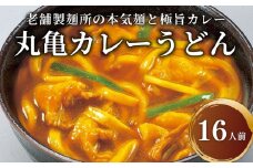 丸亀のカレーうどん 16人前 スープ付 本場の製麺所が本気で作った 宮武讃岐製麺所 個包装 常温 常温保存 日持ち 備蓄 カレーうどん 讃岐うどん カレー うどん さぬきうどん ゆで麺 ゆでうどん ゆで 麺 麺類 さぬき 讃岐 老舗 ふるさと納税うどん ふるさと納税カレー 本場 丸亀 香川