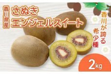 さぬきエンジェルスイート 選べる 約2kg 先行予約 キウイ 果物 フルーツ 香川県 丸亀市
