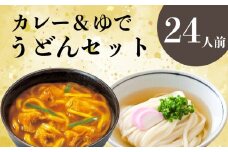 さぬきうどん ＆ コク旨 カレーうどん 詰め合わせ セット 24人前 ダシ付き スープ付き 宮武讃岐製麺所 丸亀からお届け 讃岐うどん 食べ比べ 麺 麺類 うどん カレー 個包装 常温 常温保存 日持ち 簡単調理 備蓄 讃岐 香川県 丸亀 丸亀市