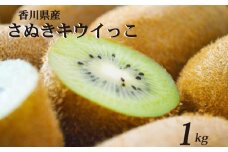一口サイズ！ さぬきキウイっこ 約1kg 香川県産 キウイっこ キウイ キウイフルーツ 果物 ふるさと納税キウイ 香川県 丸亀市