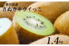 一口サイズ！ さぬきキウイっこ 約1.4kg 香川県産 キウイっこ キウイ キウイフルーツ 果物 ふるさと納税キウイ 香川県 丸亀市