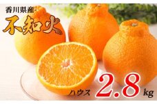 不知火 選べる 約2.8kg ハウス 常温 先行予約 フルーツ 果物 柑橘 しらぬい みかん ふるさと納税みかん 香川県 丸亀市