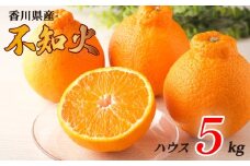 不知火 選べる 約5kg ハウス 常温 先行予約 フルーツ 果物 柑橘 しらぬい みかん ふるさと納税みかん 香川県 丸亀市