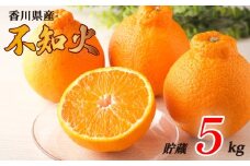 不知火 選べる 約5kg 貯蔵 冷蔵 先行予約 フルーツ 果物 柑橘 しらぬい みかん ふるさと納税みかん 香川県 丸亀市
