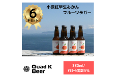 クラフトビール 奇跡の紅みかん kokou 6本セット 330ml×6本  冷蔵配送 クラフトビール 地ビール  ビール みかん 柑橘 小原紅早生 ホップ アルコール 酒 ドリンク