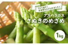 アスパラガス さぬきのめざめ 春芽 1kg アスパラ グリーンアスパラ 野菜 やさい 旬 旬の野菜 季節の野菜 産地直送 香川 香川県 丸亀 丸亀市 冷蔵 冷蔵配送 疲労回復 免疫力向上 食物繊維 ビタミンC 柔らかい 甘い 料理 おかず アスパラベーコン巻き 炒め フライ ポタージュ ふるさと納税アスパラ ふるさと納税野菜 株式会社五色青果