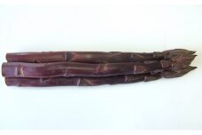 紫 アスパラガス 約800g 丸亀産 アスパラ 希少 幻 紫アスパラガス 野菜 旬 旬の野菜 季節 産地直送 丸亀 香川 冷蔵 疲労回復 免疫力向上 食物繊維 ビタミンC 柔らかい 甘い 香り 料理 おかず アスパラベーコン巻き 炒め フライ ポタージュ ふるさと納税アスパラ ふるさと納税野菜 香川県 丸亀市