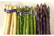 アスパラガス 3種 セット 丸亀産 アスパラ ホワイト グリーン パープル 野菜 旬 旬の野菜 季節の野菜 産地直送 丸亀 香川 冷蔵 冷蔵配送 ホワイトアスパラガス グリーンアスパラガス 紫アスパラガス 疲労回復 免疫力向上 食物繊維 ビタミンC 柔らかい 甘い クリーミー 幻 料理 おかず アスパラベーコン巻き 炒め フライ ポタージュ ふるさと納税アスパラ ふるさと納税野菜 香川県 丸亀市
