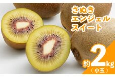 先行予約 キウイ 約2kg 小玉 キウイフルーツ さぬきエンジェルスイート 果物 果実 フルーツ 旬 デザート 選べる 容量 11月上旬～12月上旬 配送 家庭用 贈答用 ギフト プレゼント 香川県 丸亀市