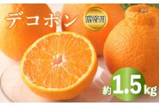 2026年 先行予約 デコポン 約1.5kg 不知火 しらぬい みかん 柑橘 蜜柑 オレンジ 果物 フルーツ 果実 旬 家庭用 1月下旬～3月中旬 配送 香川県 丸亀市