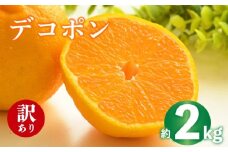 2026年 先行予約 デコポン 約2g 不知火 しらぬい みかん 柑橘 蜜柑 オレンジ 果物 フルーツ 果実 旬 家庭用 2月中旬～4月中旬 配送 香川県 丸亀市