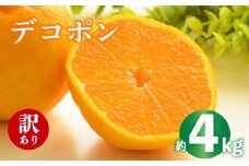 2026年 先行予約 デコポン 約4kg 不知火 しらぬい みかん 柑橘 蜜柑 オレンジ 果物 フルーツ 果実 旬 家庭用 2月中旬～4月中旬 配送 香川県 丸亀市