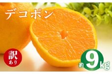 2026年 先行予約 デコポン 約9kg 不知火 しらぬい みかん 柑橘 蜜柑 オレンジ 果物 フルーツ 果実 旬 家庭用 2月中旬～4月中旬 配送 香川県 丸亀市