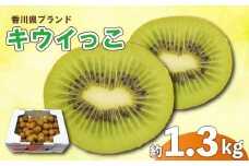 先行予約 キウイ 約1.3kg キウイフルーツ サイズ混合 さぬきキウイっこ 果物 果実 フルーツ 旬 デザート 選べる 容量 11月上旬～12月下旬 配送 家庭用 贈答用 ギフト プレゼント 香川県 丸亀市