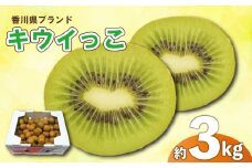 先行予約 キウイ 約3kg キウイフルーツ サイズ混合 さぬきキウイっこ 果物 果実 フルーツ 旬 デザート 選べる 容量 11月上旬～12月下旬 配送 家庭用 贈答用 ギフト プレゼント 香川県 丸亀市