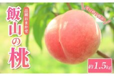 桃 約 1.5kg 6個 もも モモ 白桃 黄桃 飯山の桃 ピーチ 果物 くだもの フルーツ 果実 旬 新鮮 箱入り 冷蔵 贈答 ギフト プレゼント お中元 飯山 香川県丸亀市