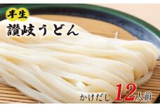 丸亀の讃岐うどん 半生麺 12人前 かけだし 本場の製麺所が本気で作った うどん 讃岐うどん さぬきうどん 半生うどん 半生 麺 麺類 個包装 常温 常温保存 簡単調理 日持ち 備蓄 さぬき 讃岐 香川県 香川 丸亀市 丸亀
