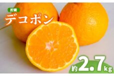 2026年 先行予約 デコポン 約2.7kg 不知火 しらぬい 貯蔵デコポン みかん 柑橘 蜜柑 オレンジ 果物 フルーツ 果実 旬 家庭用 4月下旬～5月下旬 配送 香川県 丸亀市