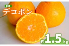 2026年 先行予約 デコポン 約1.5kg 不知火 しらぬい 貯蔵デコポン みかん 柑橘 蜜柑 オレンジ 果物 フルーツ 果実 旬 家庭用 贈答用 化粧箱 4月下旬～5月下旬 配送 香川県 丸亀市