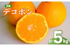 2026年 先行予約 デコポン 約5kg 不知火 しらぬい 貯蔵デコポン みかん 柑橘 蜜柑 オレンジ 果物 フルーツ 果実 旬 家庭用 4月下旬～5月下旬 配送 香川県 丸亀市