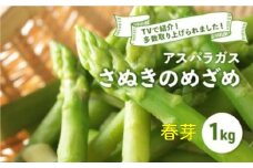 【先行予約】 アスパラガス さぬきのめざめ 春芽 1kg アスパラ グリーンアスパラ 野菜 やさい 旬 旬の野菜 季節の野菜 産地直送 香川 香川県 丸亀 丸亀市 冷蔵 冷蔵配送 疲労回復 免疫力向上 食物繊維 ビタミンC 柔らかい 甘い 料理 おかず アスパラベーコン巻き 炒め フライ ポタージュ ふるさと納税アスパラ ふるさと納税野菜 株式会社五色青果