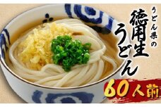 うどん 60人前 生うどん さぬきうどん 讃岐うどん 徳用 麺 めん 生麺 饂飩 かけうどん かけ ざるうどん ざる 釜玉うどん かまたま 冷やし きつね 肉うどん カレーうどん そば ラーメン そうめん パスタ 香川県 丸亀市